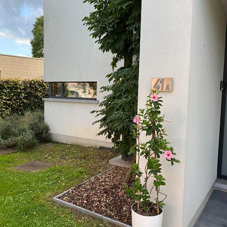 La Suite Cosy - Votre Pause Arboree La Bruyere Экстерьер фото