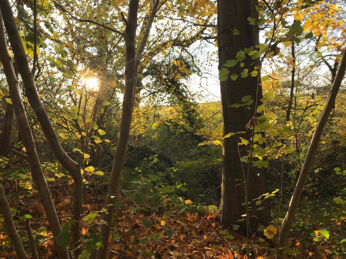 La Suite Cosy - Votre Pause Arboree La Bruyere Экстерьер фото