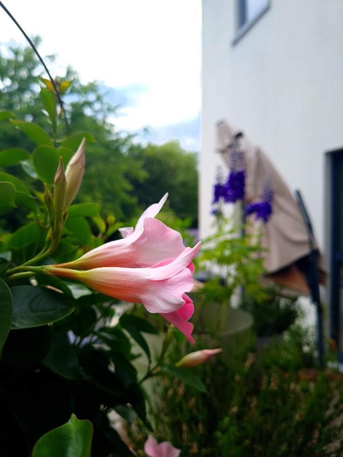 La Suite Cosy - Votre Pause Arboree La Bruyere Экстерьер фото